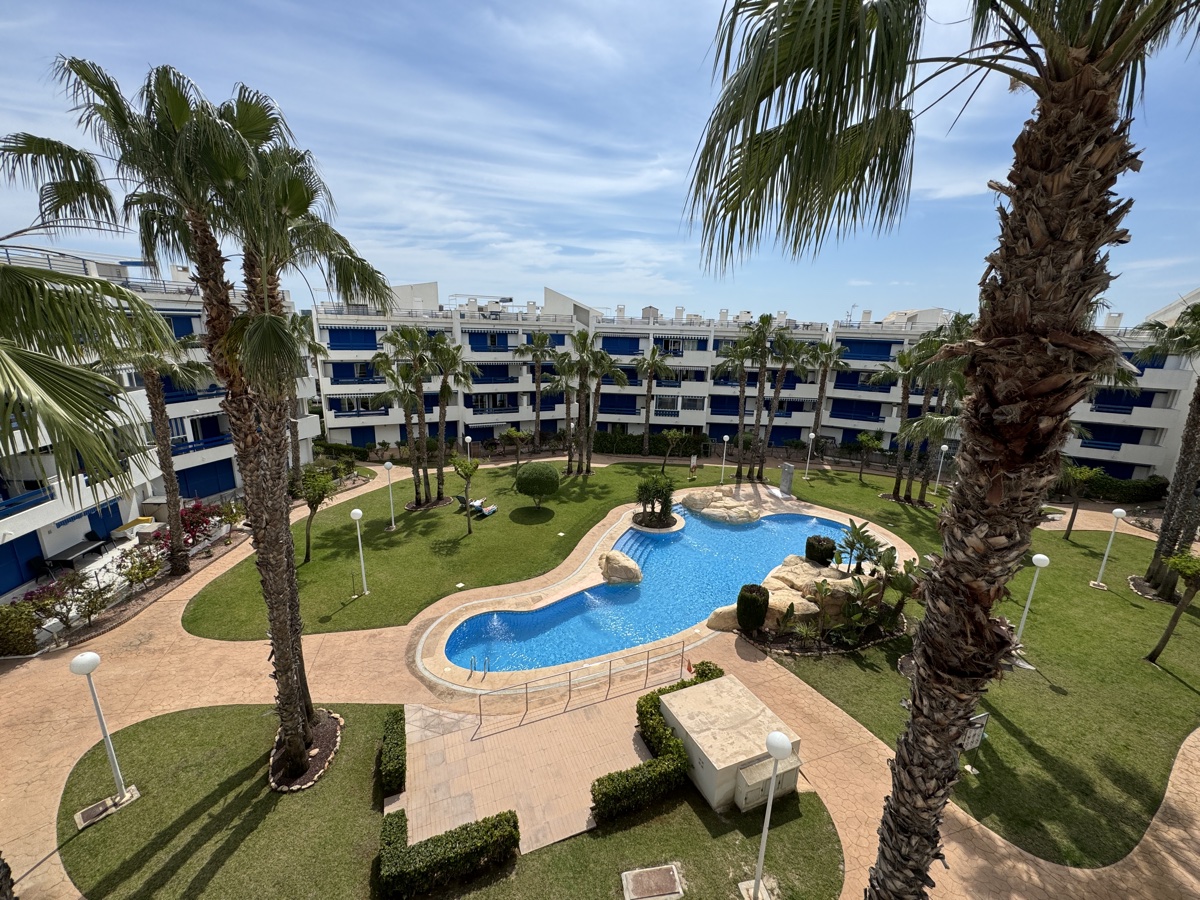 2048D: Apartment for sale in Playa Flamenca